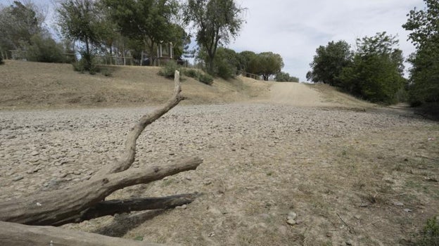 Estado del vado de Quema en Aznalcázar por la sequía, primera urgencia de los empresarios sevillanos