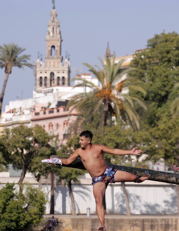 Tradicional cucaña de la Velá de Santa Ana en el barrio de Triana 