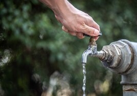 Sevilla decidirá a finales de septiembre ampliar las restricciones de agua si persiste la sequía