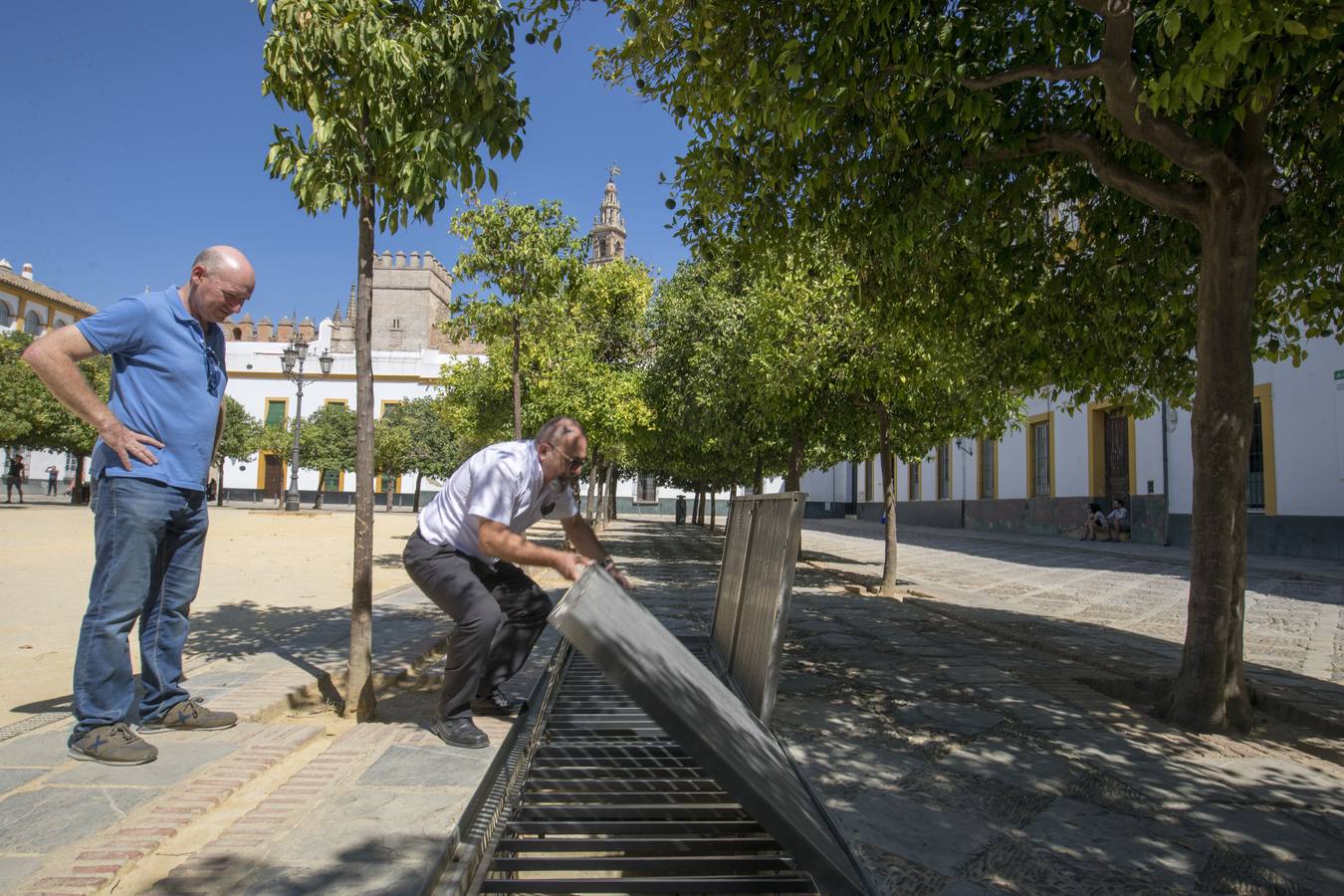 Las zonas ocultas del Alcázar de mayor curiosidad, historia o belleza