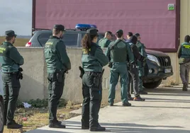 Desarticulado un entramado dedicado a adquirir vehículos con estafas con nueve detenciones en la provincia de Sevilla