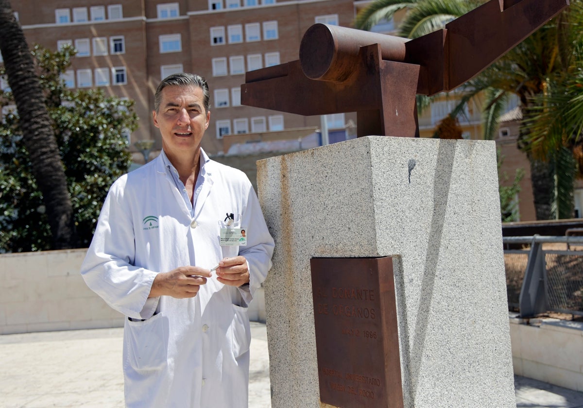 El doctor Miguel Ángel Gómez Bravo junto al monumento dedicado al donante en el Hospital Virgen del Rocío de Sevilla