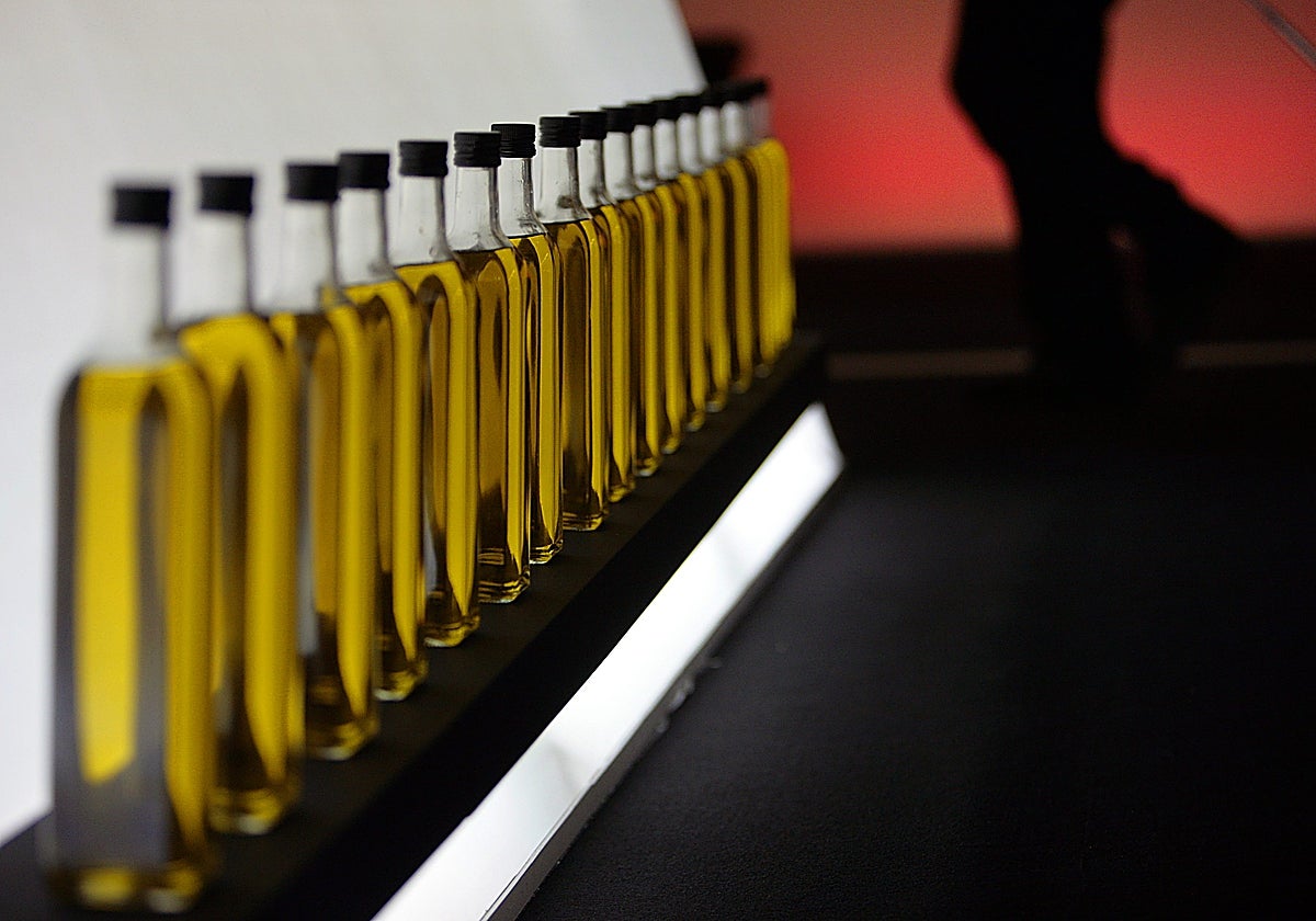 La campaña de aceite 2023-2023 ha sido la peor de la historia y la de 2023-2024 se prevé también mala