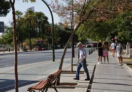 El equipo de Muñoz se dejó 4.000 árboles de nueva planta sin regar en Sevilla