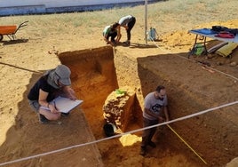 Descubren un nuevo tramo de la calzada romana que pudo unir Carmona y Sevilla hace más de dos mil años