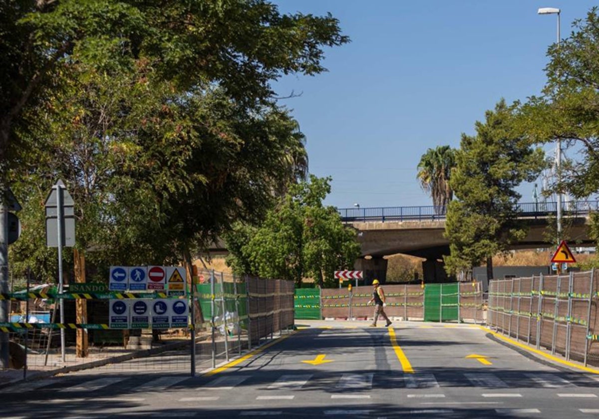 Cambios en el tráfico entre la Palmera y Bueno Monreal por las obras de la avenida de las Razas