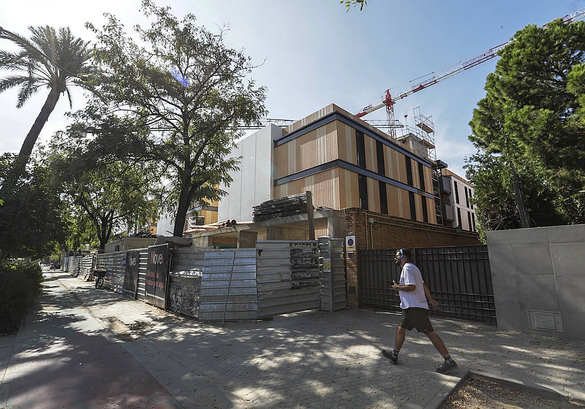 Aspecto reciente de las obras en el número 38 del paseo de la Palmera