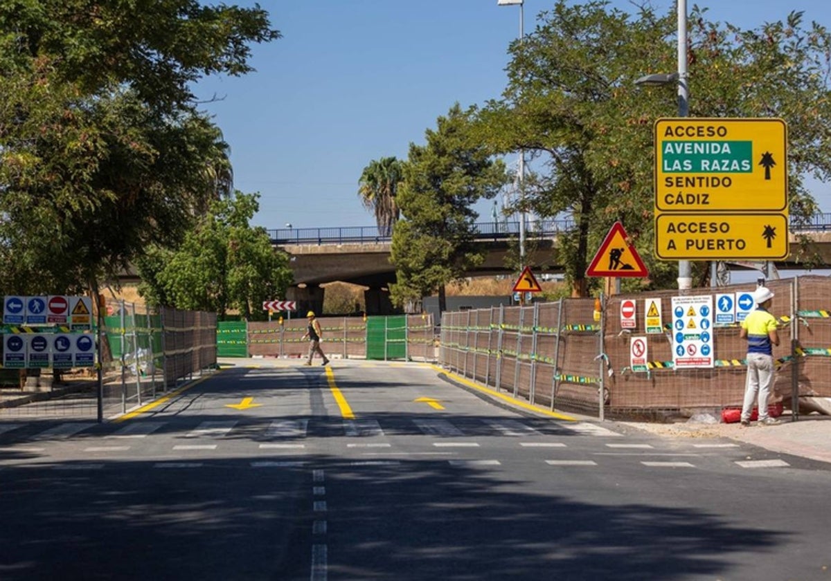 Imagen de las obras en la avenida de Las Razas