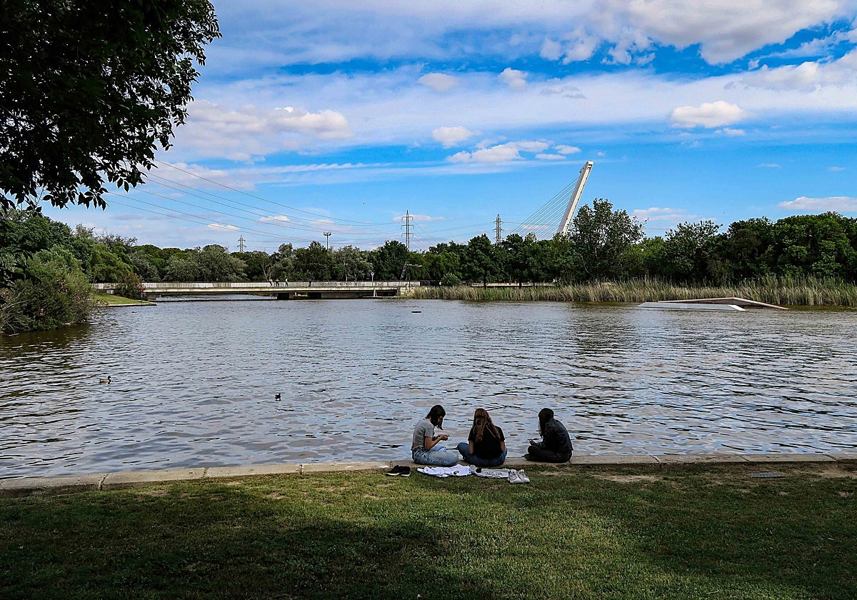 Parque del Alamillo: El Gran Pulmón Verde de la Cartuja