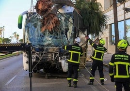 Uno de los tres muertos en el accidente del autobús de Cádiz es una sevillana de 19 años