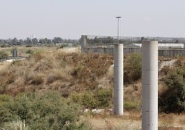 José Luis Sanz no ve con buenos ojos el puente de la SE-40, aunque lo aceptaría si empezarán ya las obras