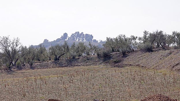 Vista de los terrenos desde el Cerro de Santa Brígida