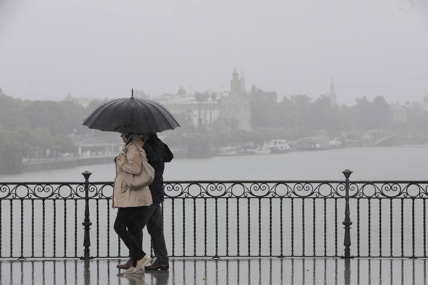  Jornada de jueves con fuertes lluvias provocadas por la borrasca 'Aline' en Sevilla