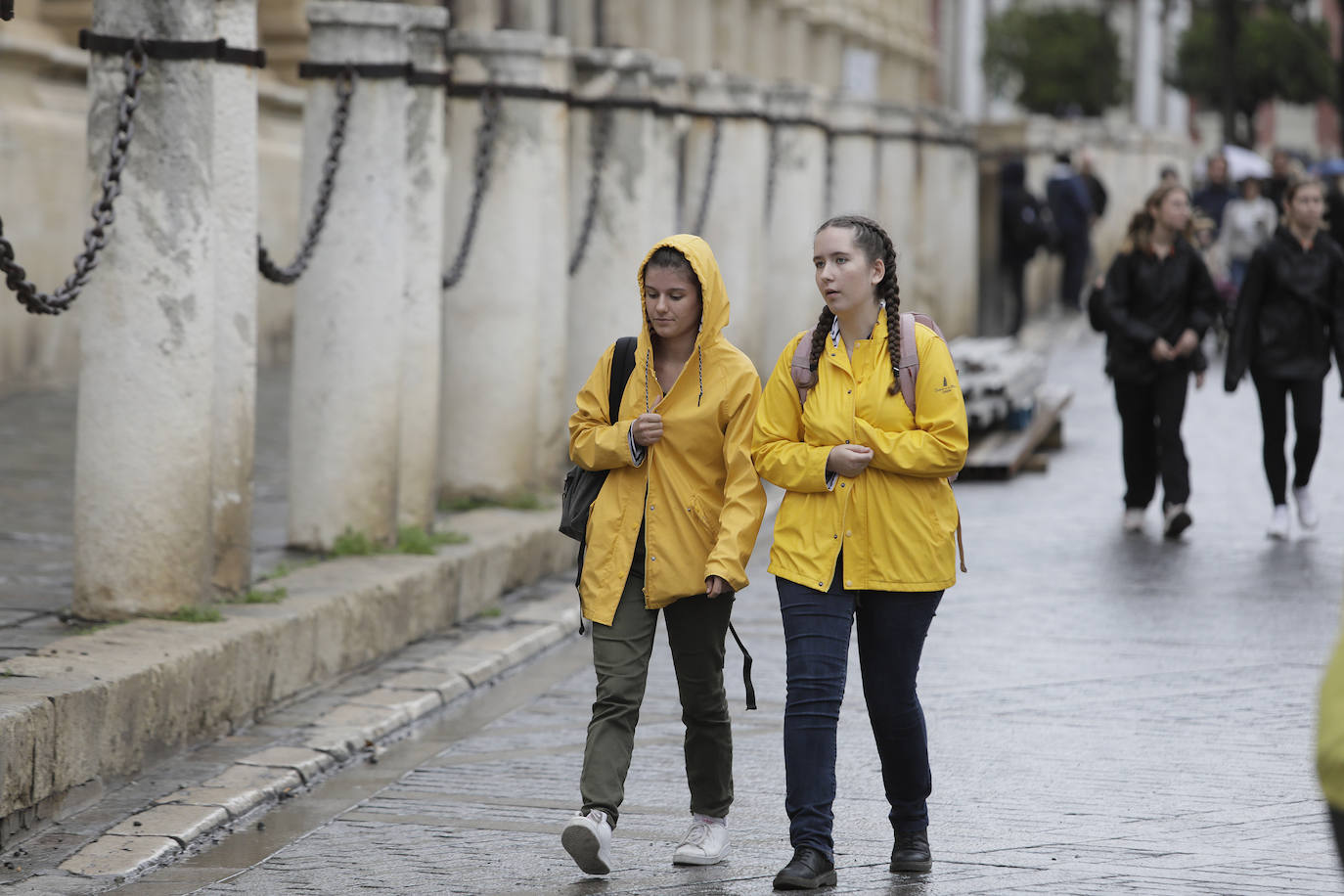 Jornada de jueves con fuertes lluvias provocadas por la borrasca 'Aline' en Sevilla