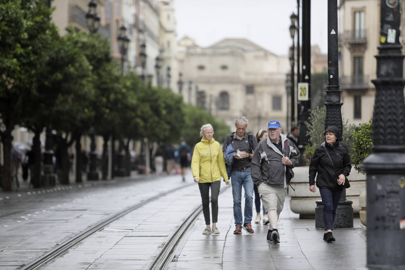  Jornada de jueves con fuertes lluvias provocadas por la borrasca 'Aline' en Sevilla