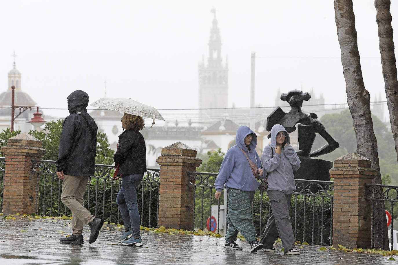  Jornada de jueves con fuertes lluvias provocadas por la borrasca 'Aline' en Sevilla