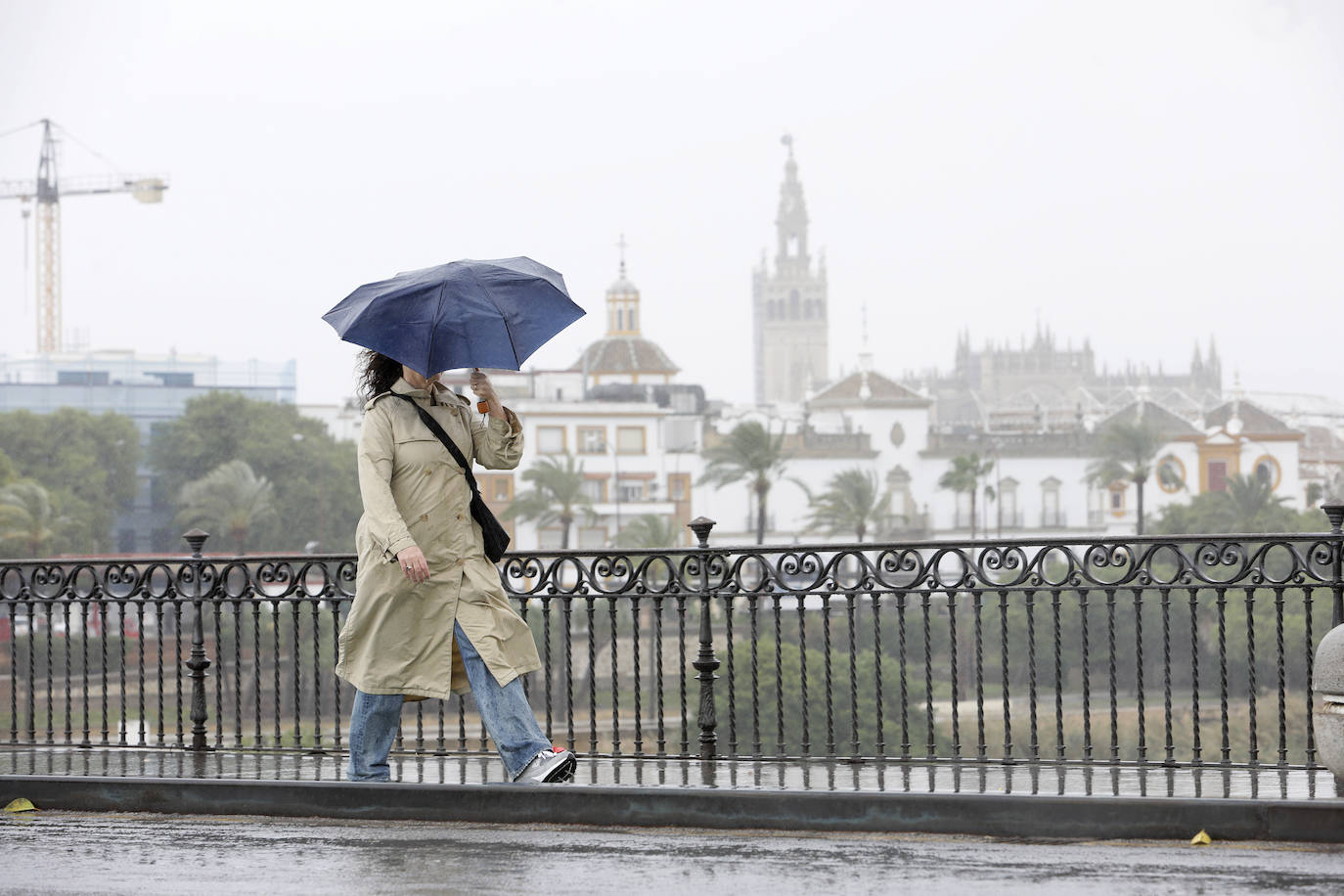  Jornada de jueves con fuertes lluvias provocadas por la borrasca 'Aline' en Sevilla
