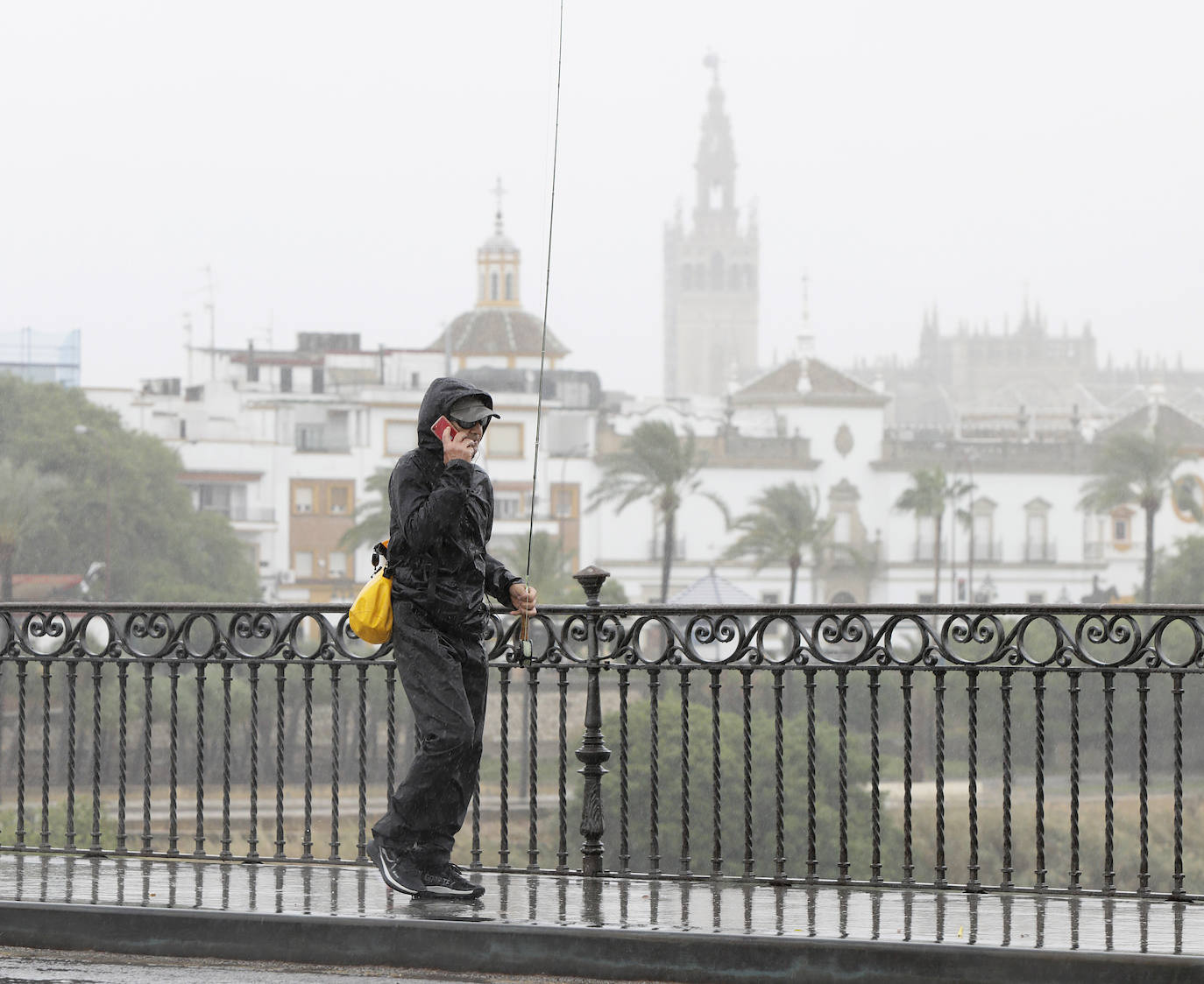  Jornada de jueves con fuertes lluvias provocadas por la borrasca 'Aline' en Sevilla