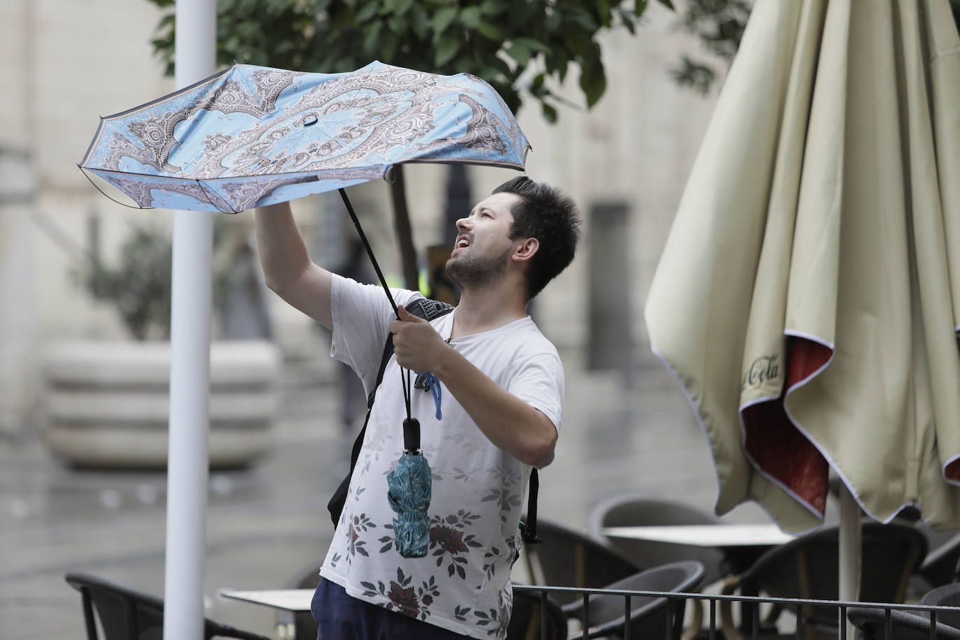  Jornada de jueves con fuertes lluvias provocadas por la borrasca 'Aline' en Sevilla