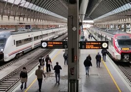 Hasta treinta trenes afectados por la borrasca Aline en Sevilla