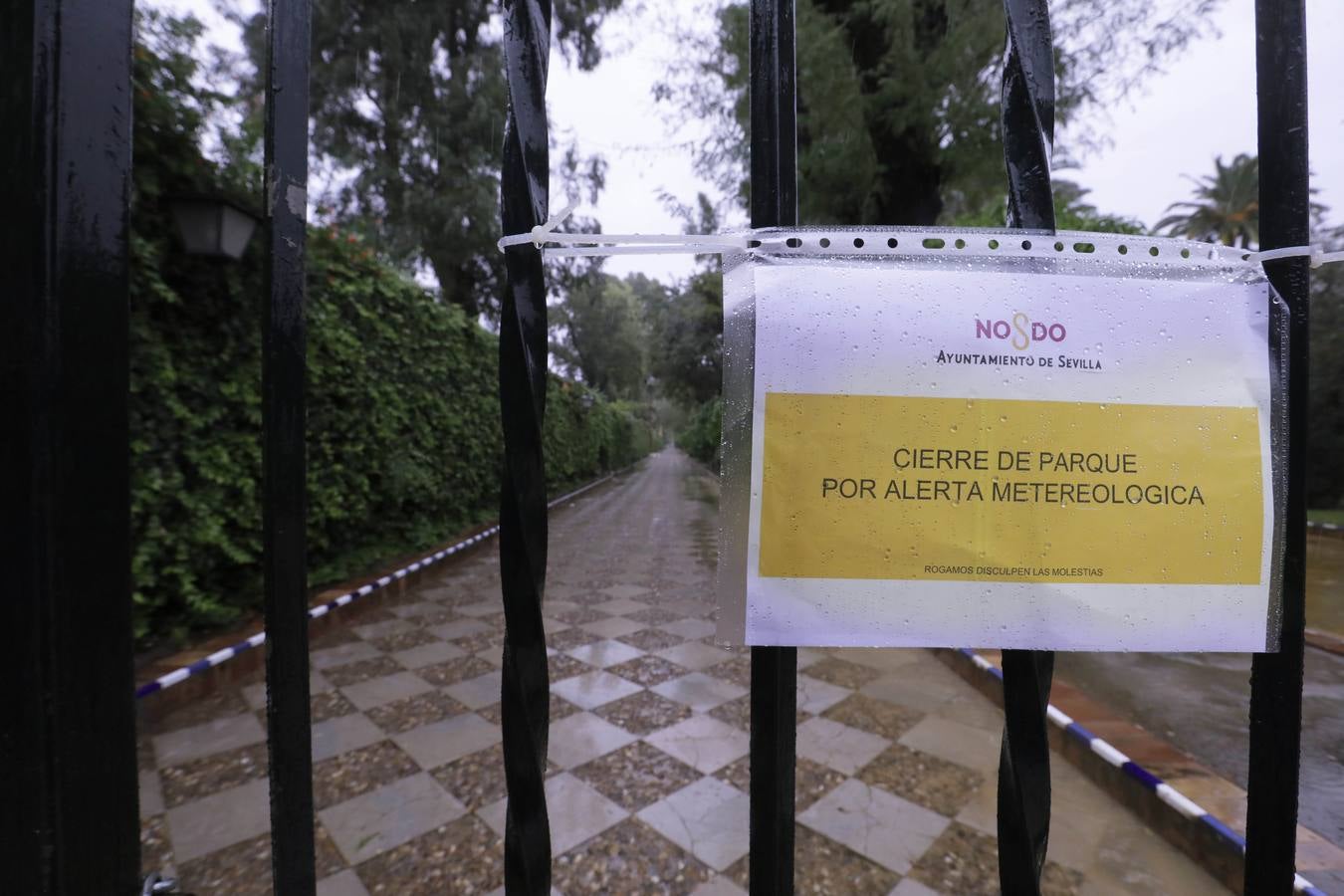 Los vientos alcanzaron más de 70 kilómetros por hora y provocó la rotura de muchas ramas y árboles 