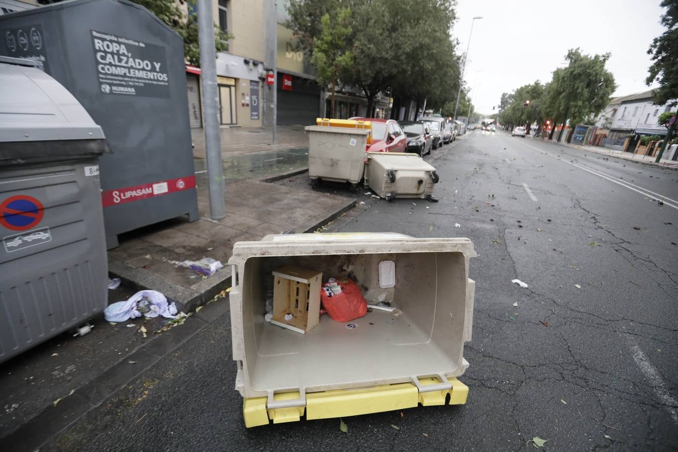 Los vientos alcanzaron más de 70 kilómetros por hora y provocó la rotura de muchas ramas y árboles 