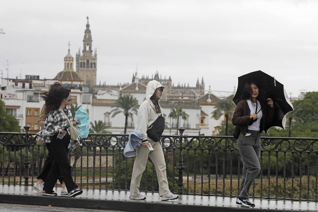 Los vientos alcanzaron más de 70 kilómetros por hora y provocó la rotura de muchas ramas y árboles 