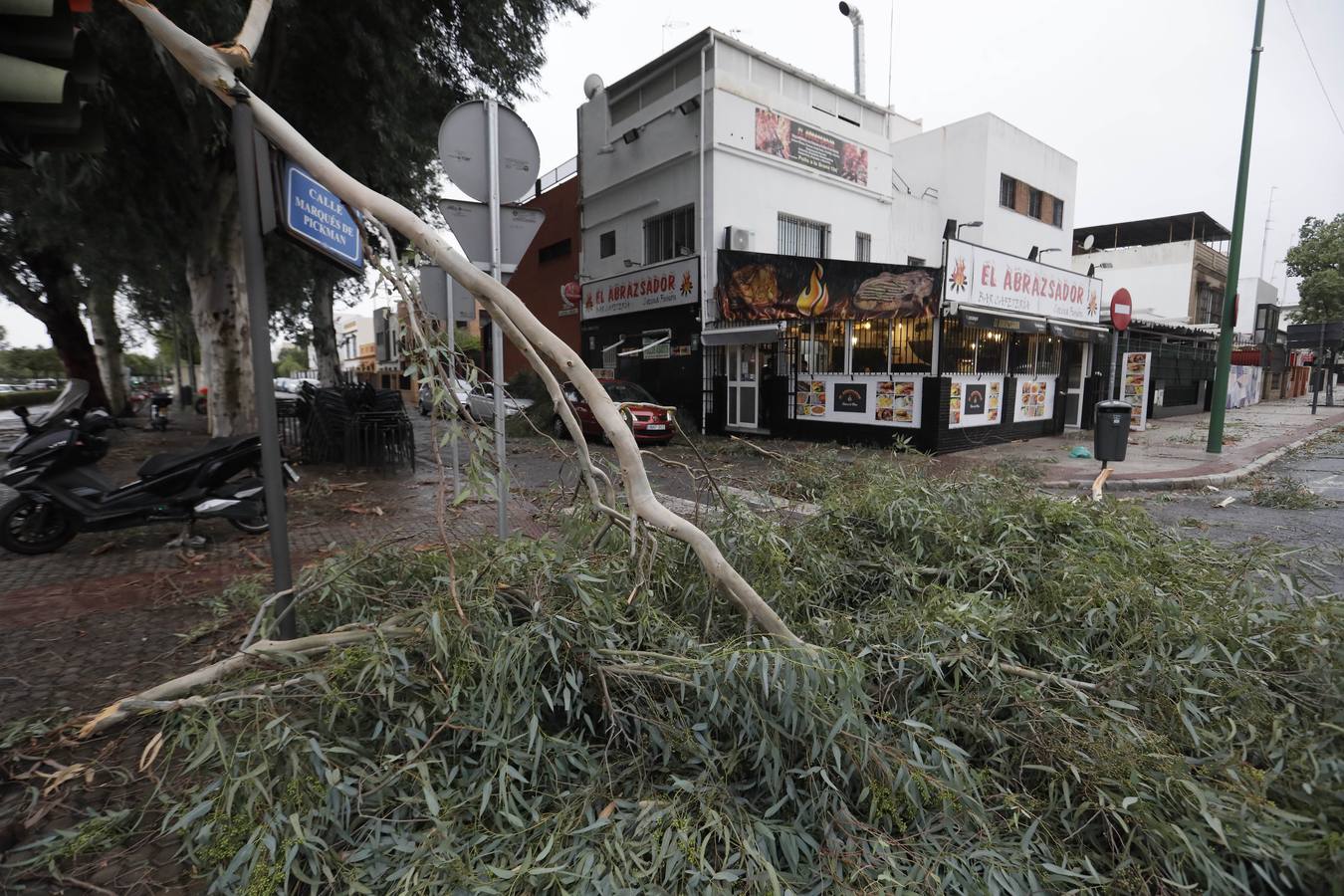 Los vientos alcanzaron más de 70 kilómetros por hora y provocó la rotura de muchas ramas y árboles 