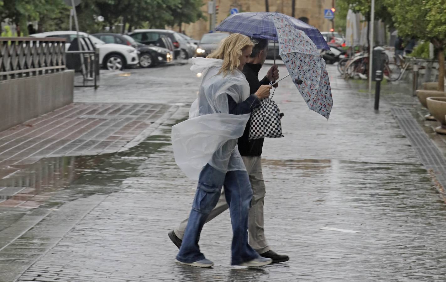 Los vientos alcanzaron más de 70 kilómetros por hora y provocó la rotura de muchas ramas y árboles 