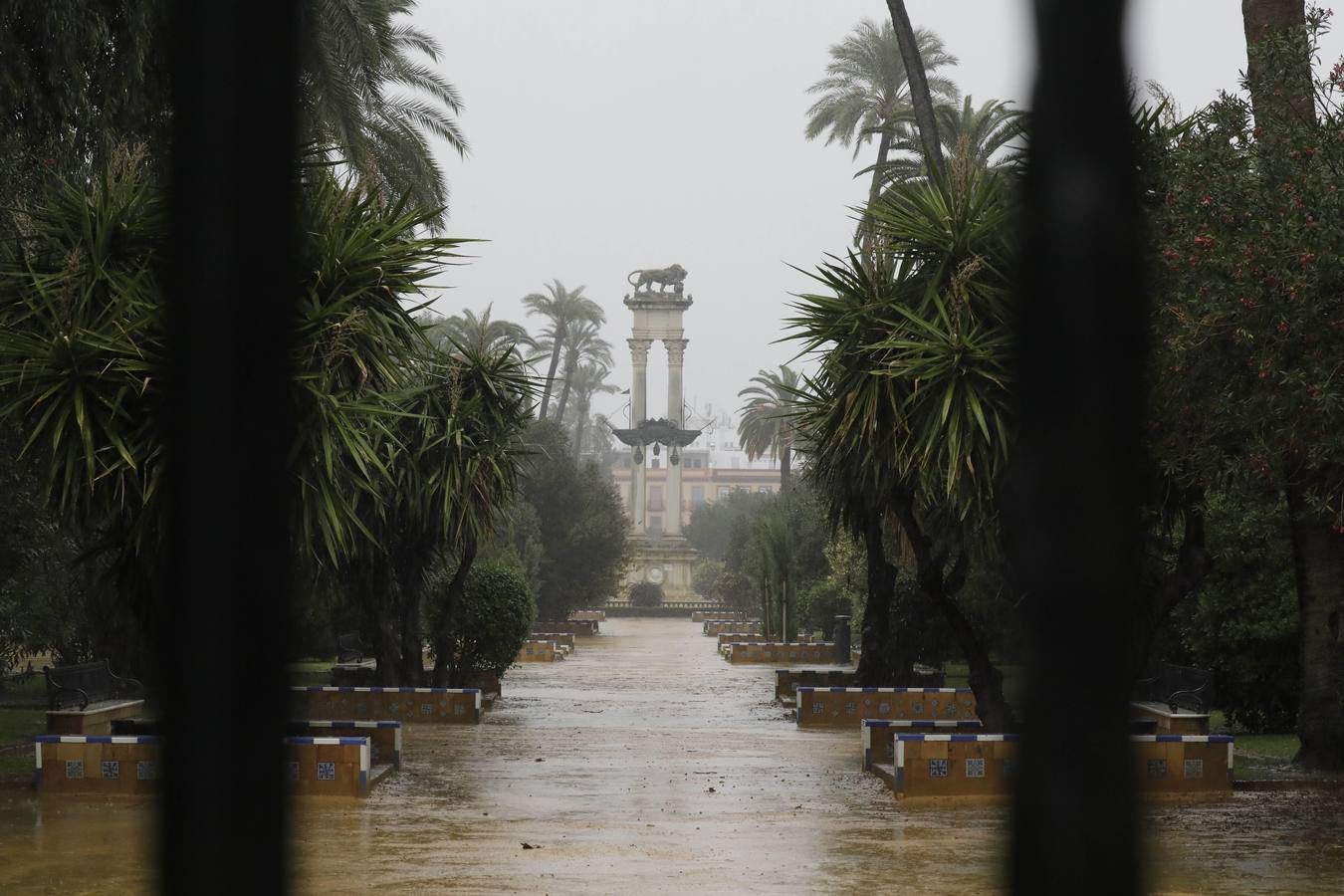Los vientos alcanzaron más de 70 kilómetros por hora y provocó la rotura de muchas ramas y árboles 