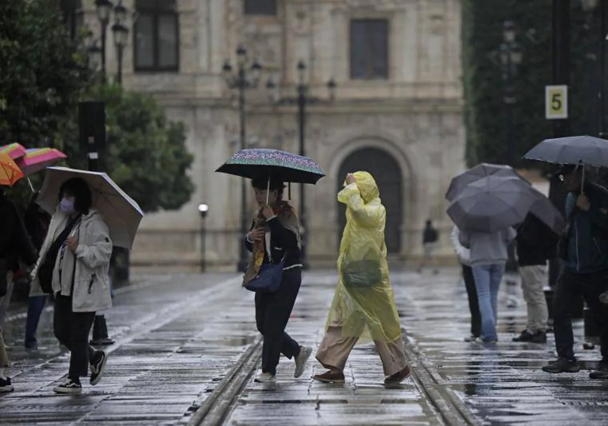 Varias personas pasean, con paraguas y chubasqueros, por el Centro de Sevilla