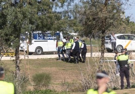 El joven encontrado en la laguna del parque Tamarguillo murió ahogado