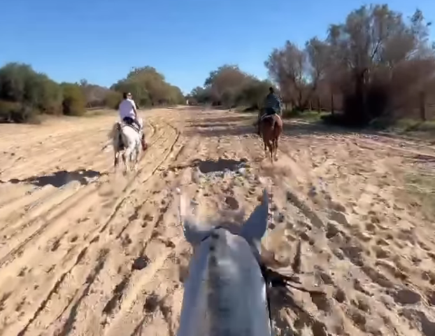Maluma montando a caballo por las arenas de El Rocío