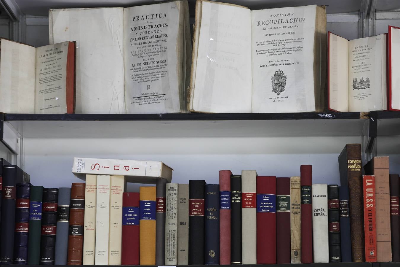 La feria del libro antiguo, en imágenes, en la Plaza Nueva de Sevilla