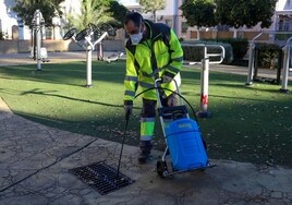 El Ayuntamiento realizará 4.000 intervenciones de desratización en Sevilla