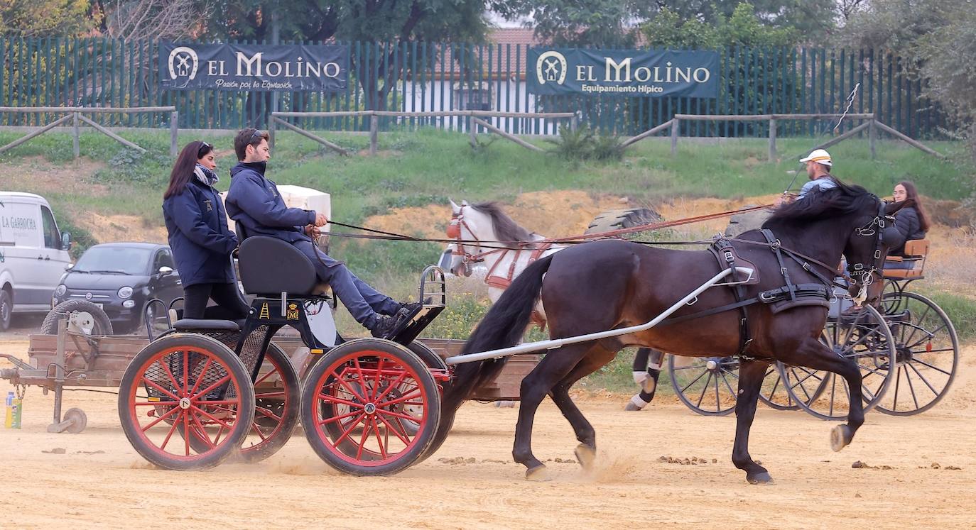 Preparativos para el SICAB en el Palacio de Congresos y Exposiciones de Sevilla