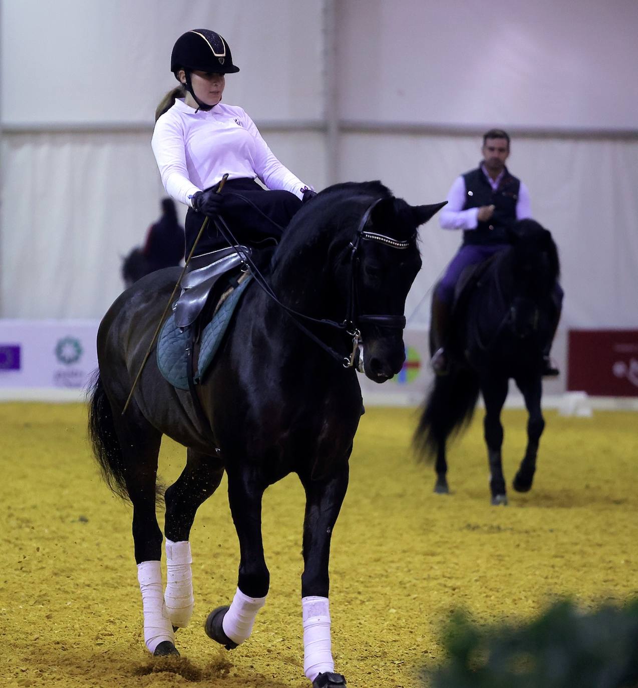 Preparativos para el SICAB en el Palacio de Congresos y Exposiciones de Sevilla