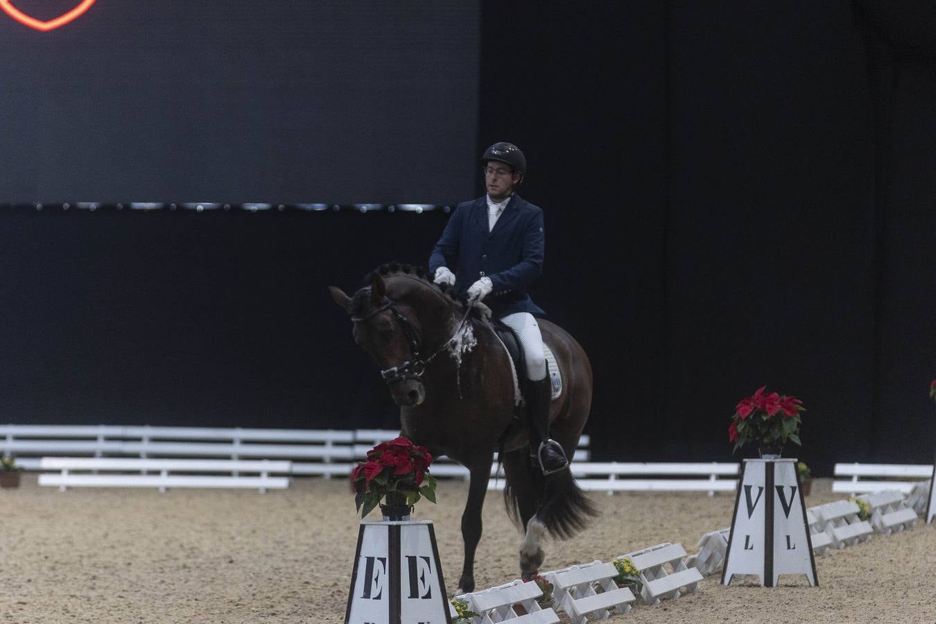 Multitud de actividades atraen cada día a los aficionados al mundo del caballo 