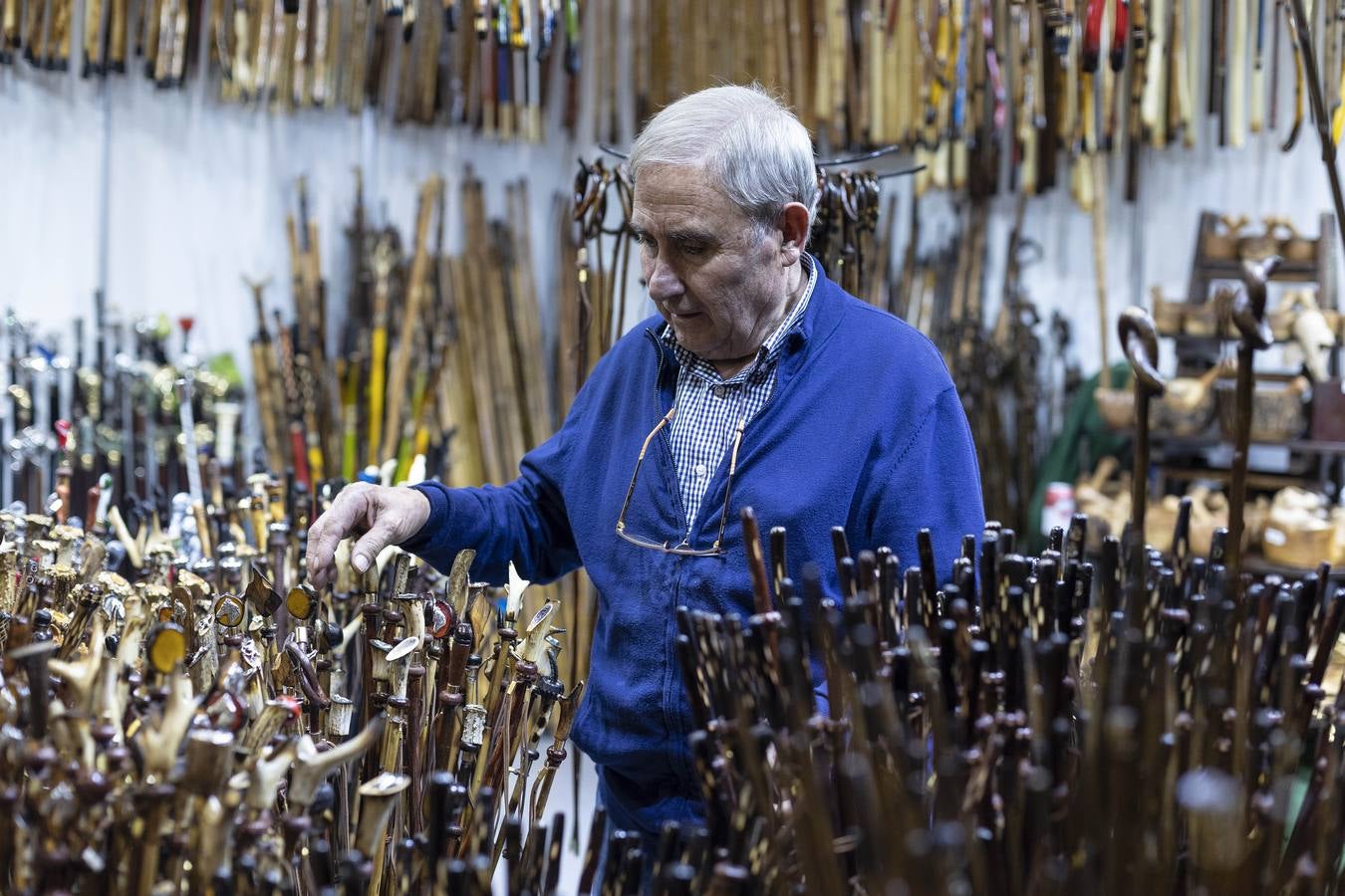 Multitud de actividades atraen cada día a los aficionados al mundo del caballo 