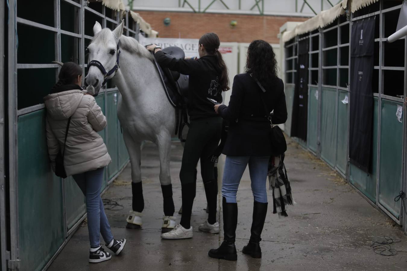 Impresionantes ejemplares de caballos de pura raza española, tiendas especializadas y rostros conocidos del sector se ven estos días en Fibes