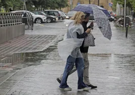Las lluvias de la madrugada de este viernes dejan en Sevilla casi 34 litros por metro cuadrado