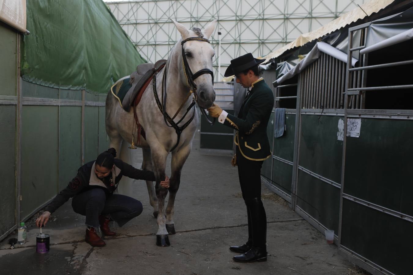Estos días se dan cita en Fibes los mejores caballos de pura raza española