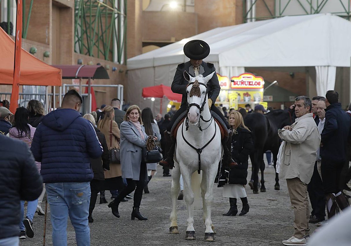 Los aficionados al mundo ecuestre admiran en Fibes a los caballos de pura raza española