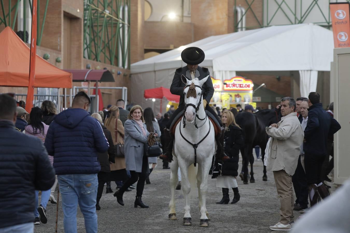 Estos días se dan cita en Fibes los mejores caballos de pura raza española