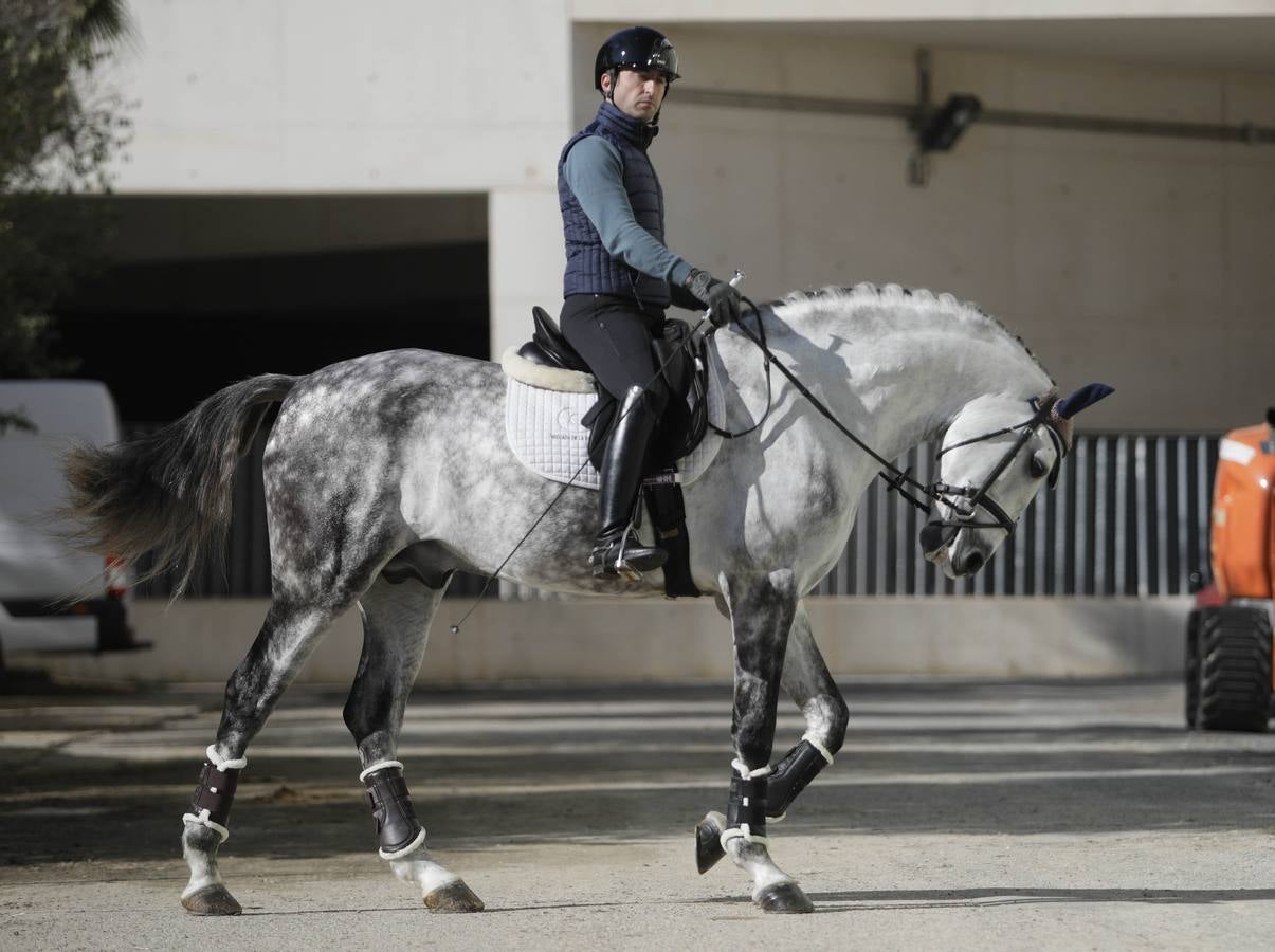 Los expositores y espectáculos de caballos contaron con numerosos asistentes