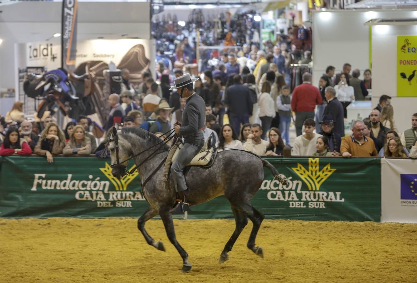 Los expositores y espectáculos de caballos contaron con numerosos asistentes