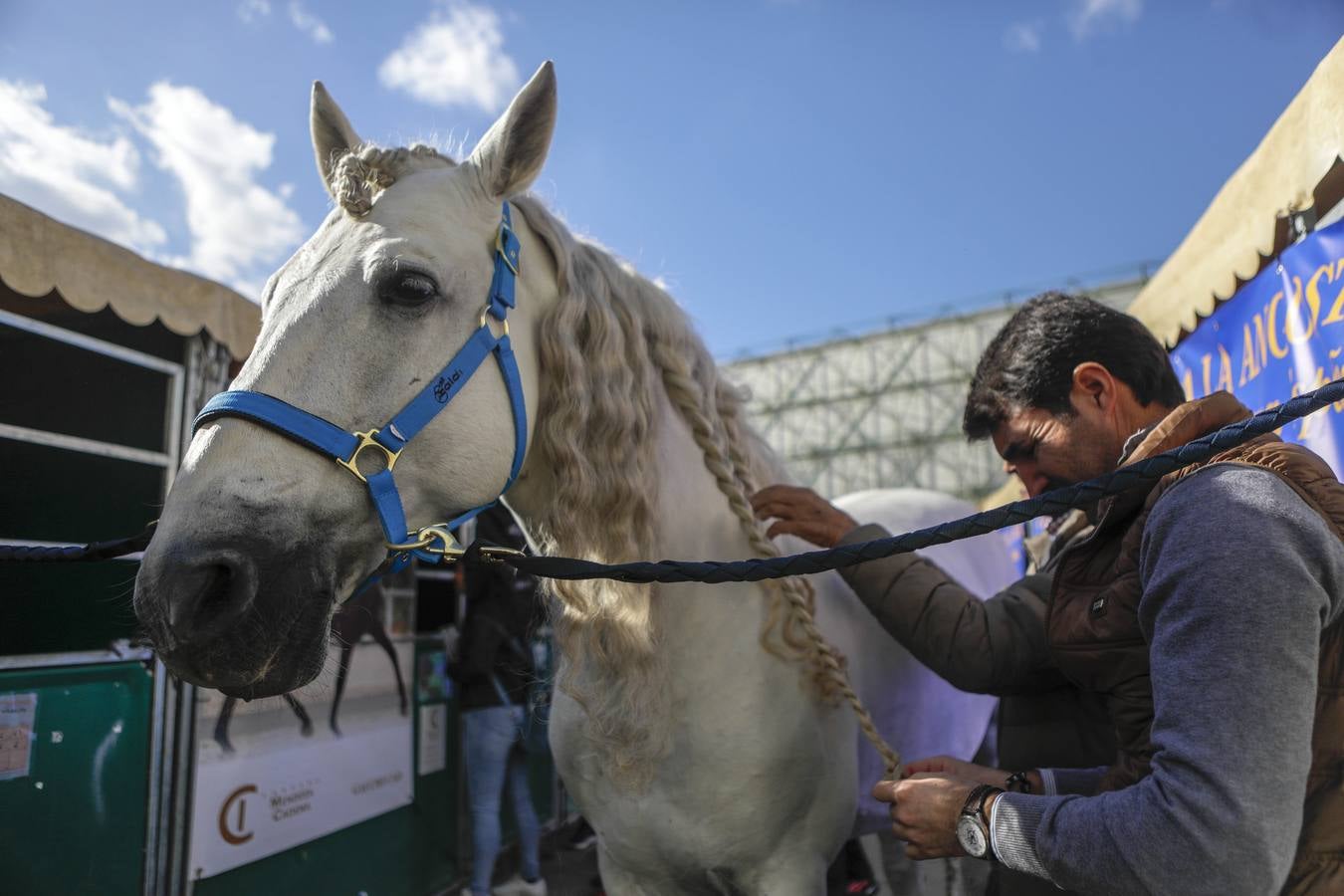 Los expositores y espectáculos de caballos contaron con numerosos asistentes