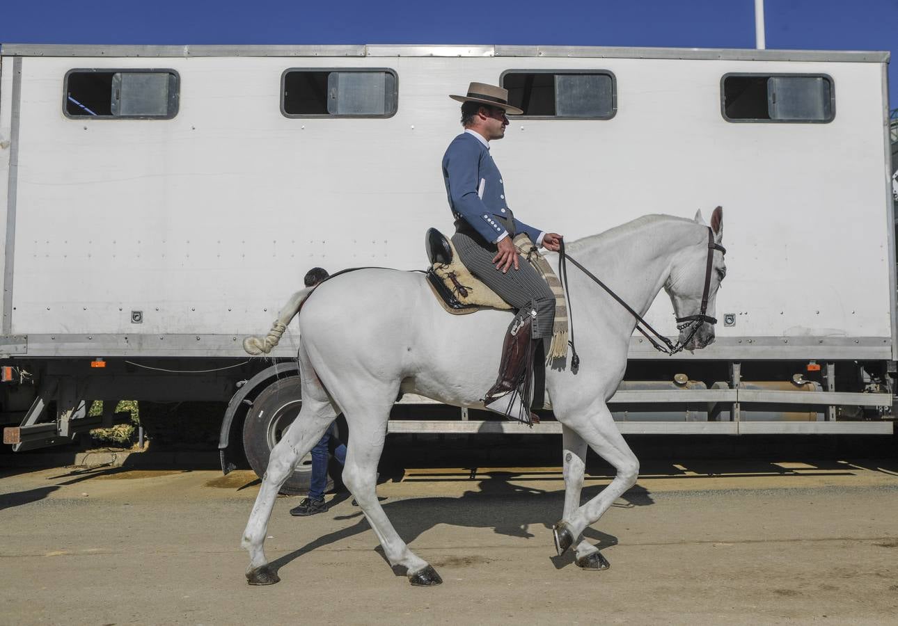 Los expositores y espectáculos de caballos contaron con numerosos asistentes
