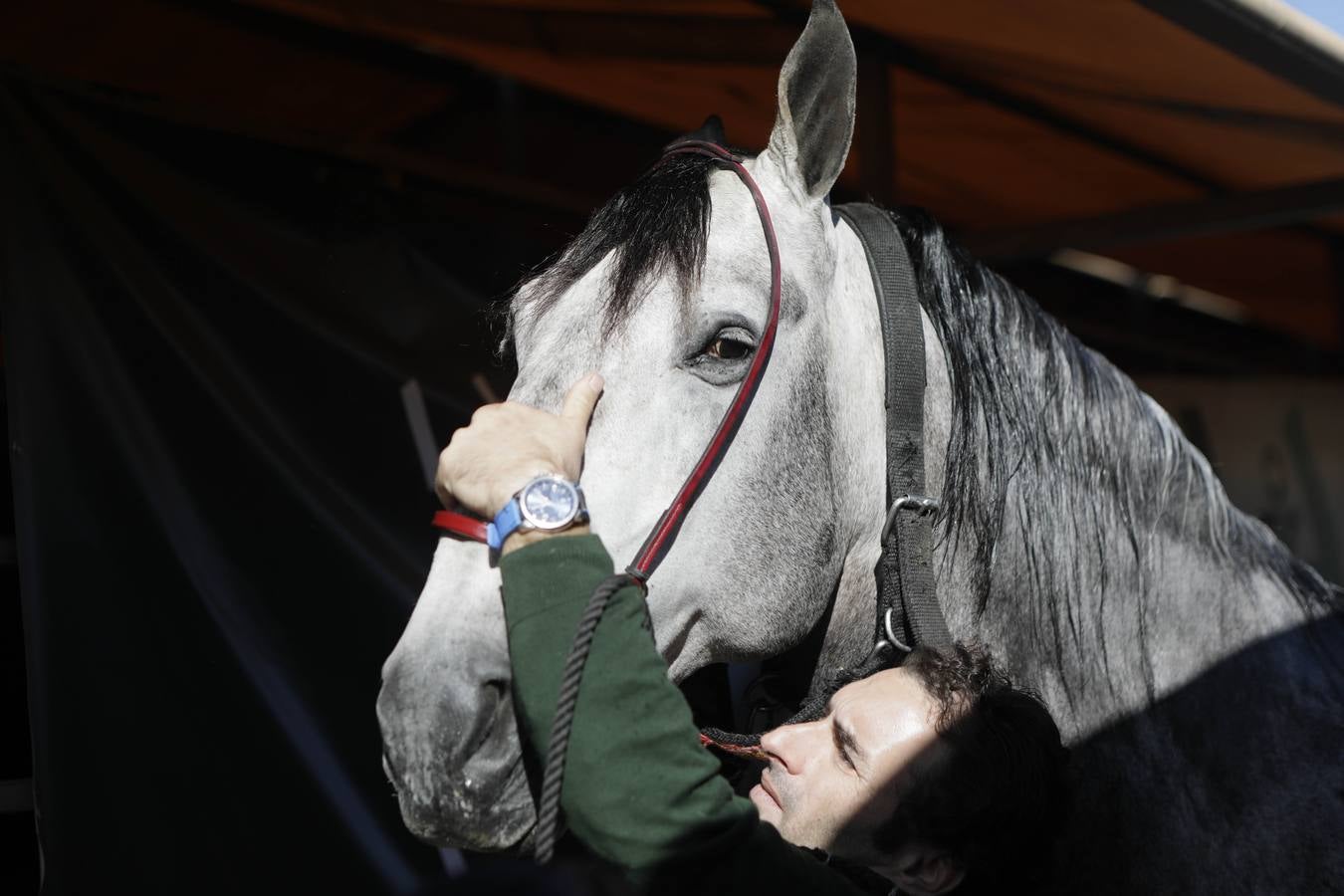 Los expositores y espectáculos de caballos contaron con numerosos asistentes