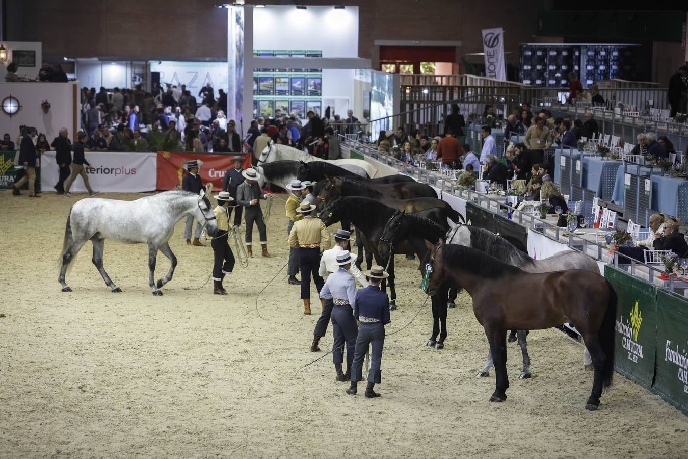Los expositores y espectáculos de caballos contaron con numerosos asistentes